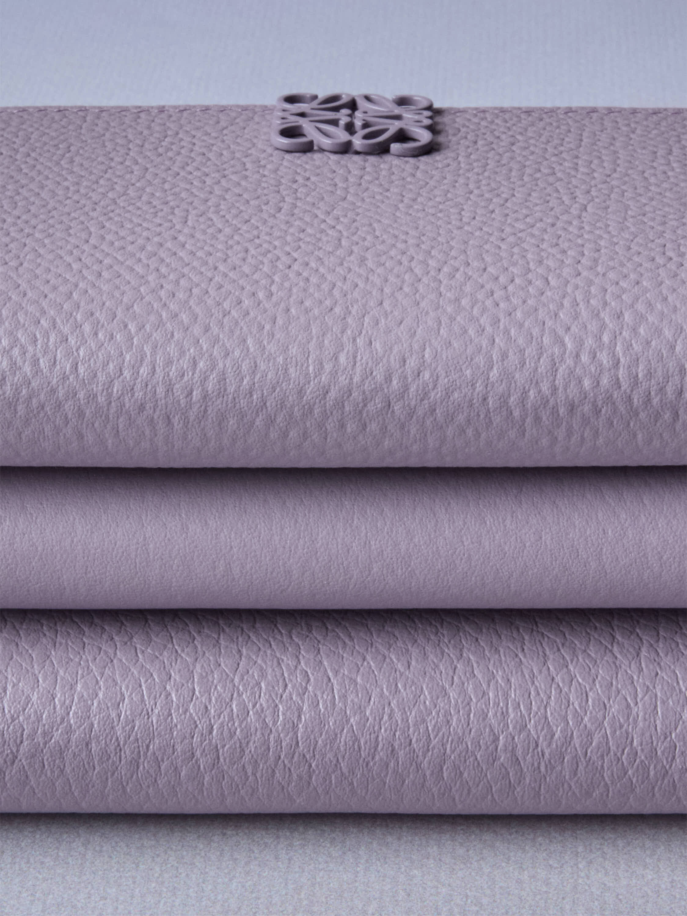 ウィメンズ 財布&小物｜ロエベ - LOEWE